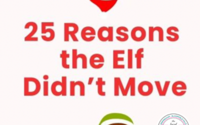 25 Reasons Your Elf Didn’t Move