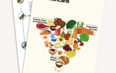 The New Food Pyramid: A Registered Dietician & Mom Weighs In