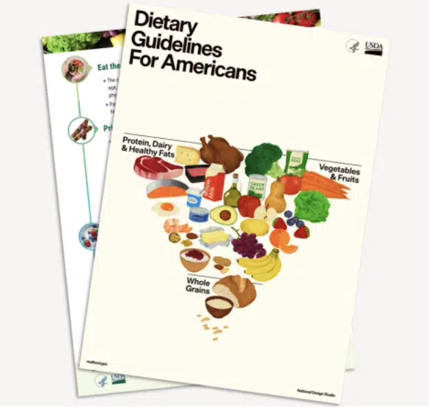The New Food Pyramid: A Registered Dietician & Mom Weighs In