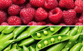 Michigan Cyclospora Outbreak: Where to Find More Information